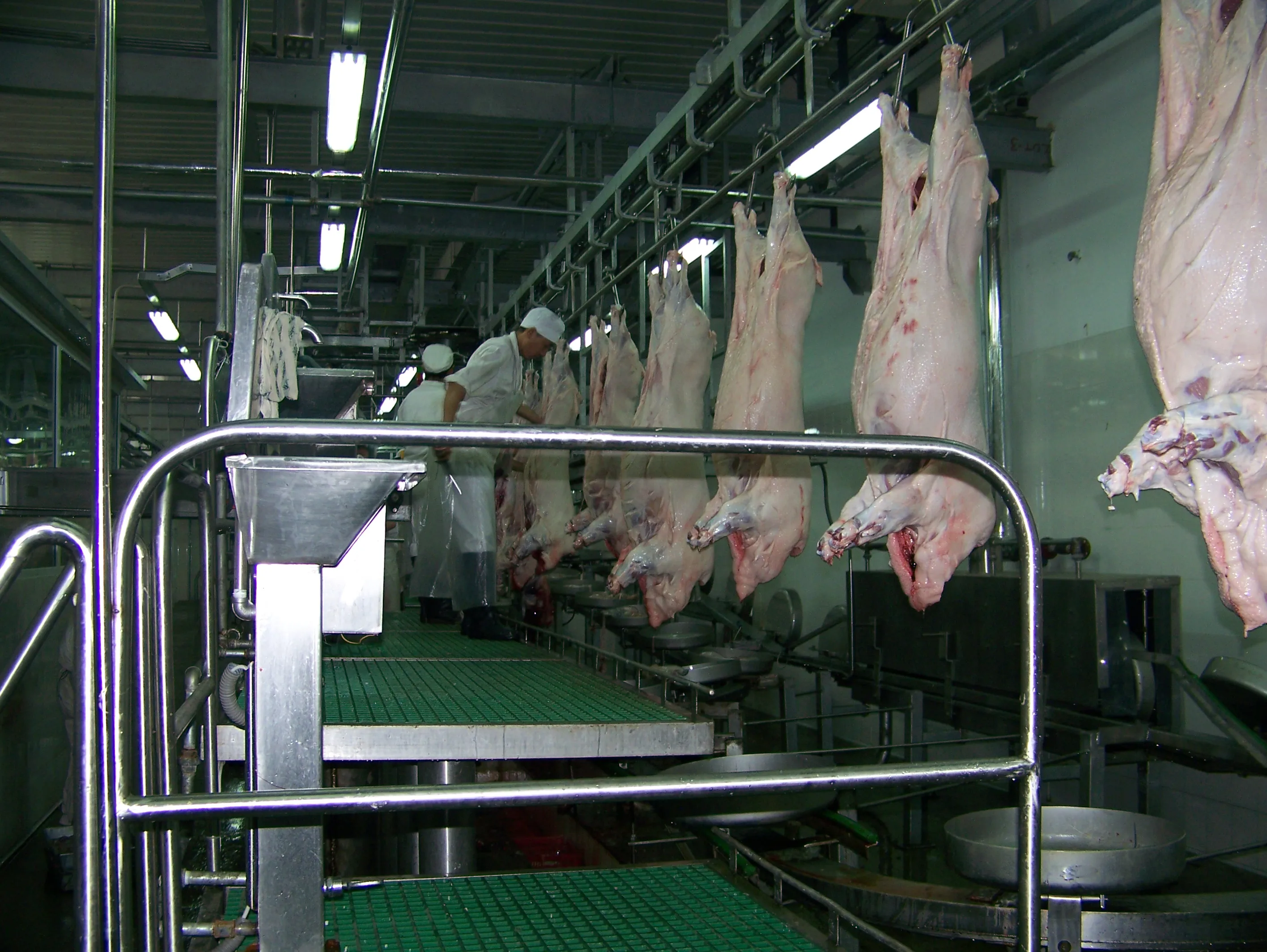 Complete pork slaughtering equipment package for modern slaughterhouse processing line