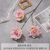 K-Manta rosa-rosa
