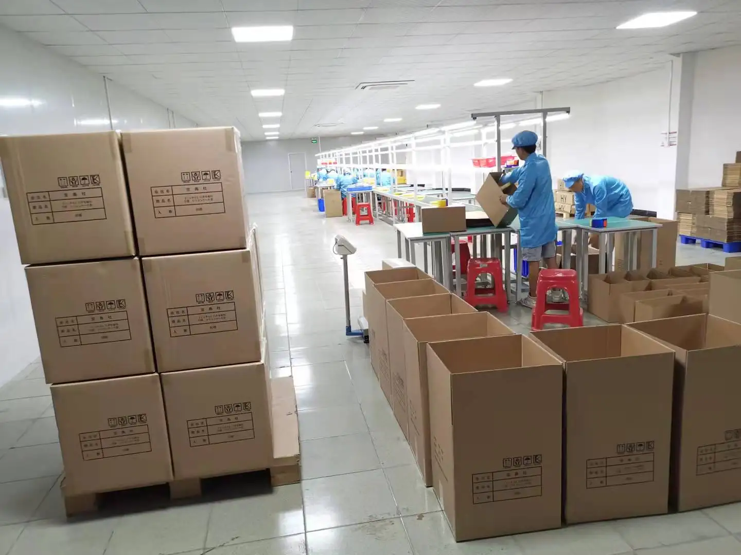 Dongguan Feiyang sports equipment co., ltd.
