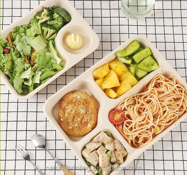 Disposable Meal Boxes Disposable Divided Lunch Boxes Pulp - Temu