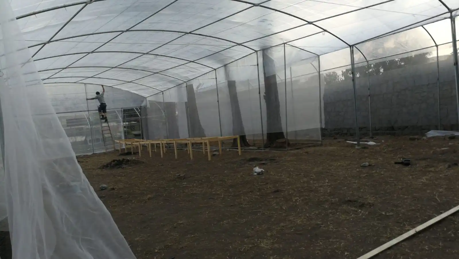 Greenhouse Cover