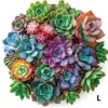 HL008