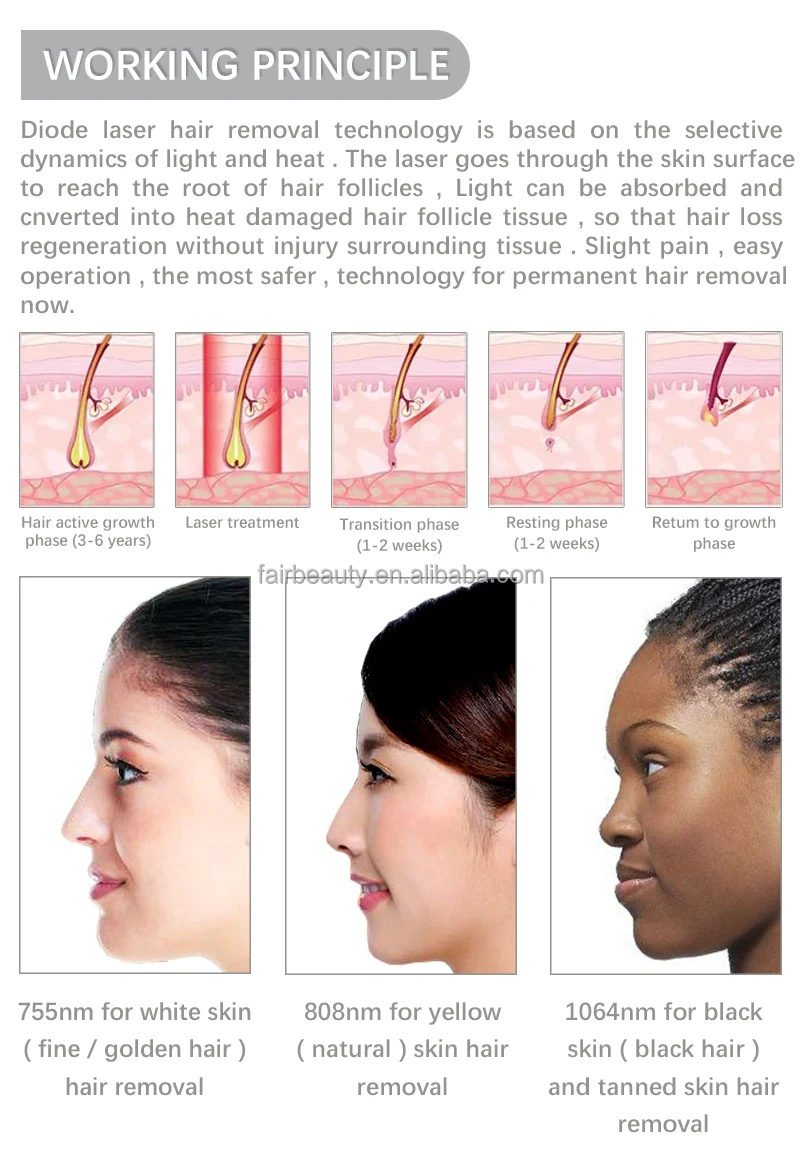 AR-Titan-Elite Handpiece Features