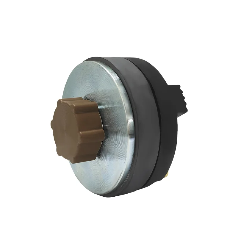 Hot Sell Professional Speaker Unit Parts 8 Ohms 80 Watts 25.4mm VC Titanium Diaphragm Driver Unit Tweeter Speaker