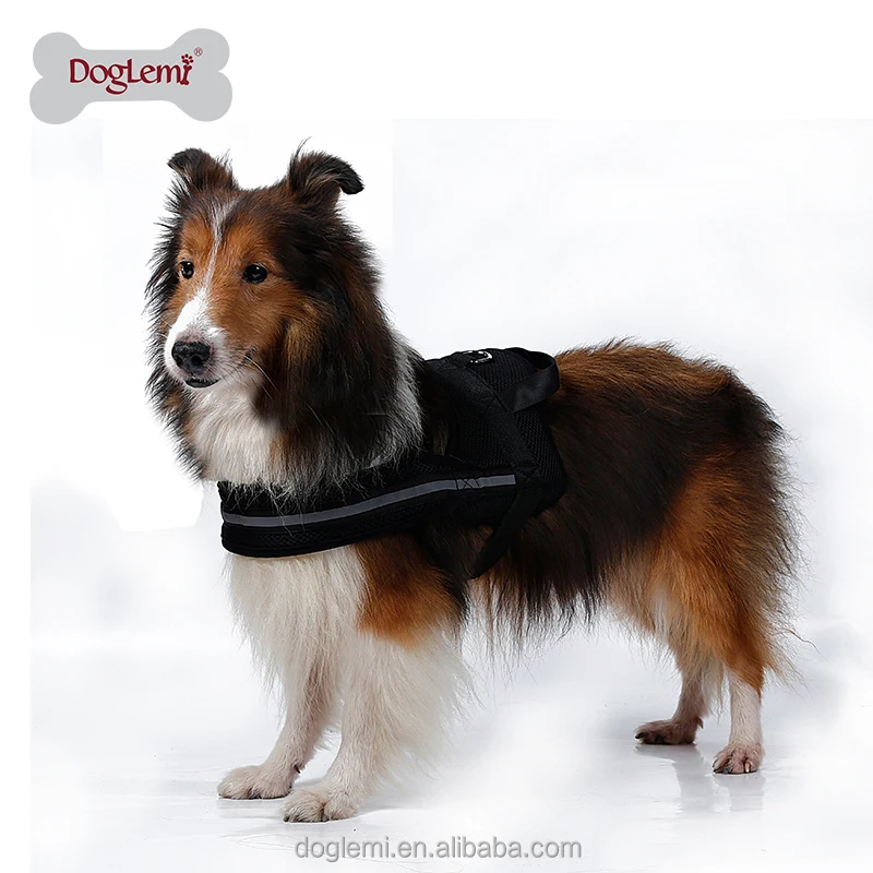 2017 Новый продукт сетка мягкая Рабочая собака Стиль нейлон большой собаки ремни