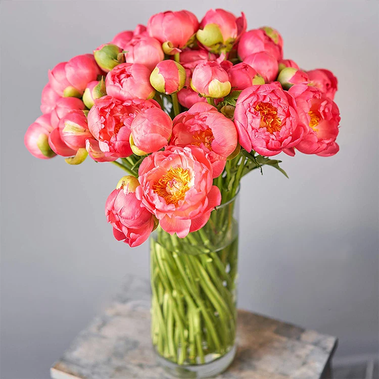 Недорогая прозрачная Высокая боросиликатная цилиндрическая трубка большая стеклянная ваза