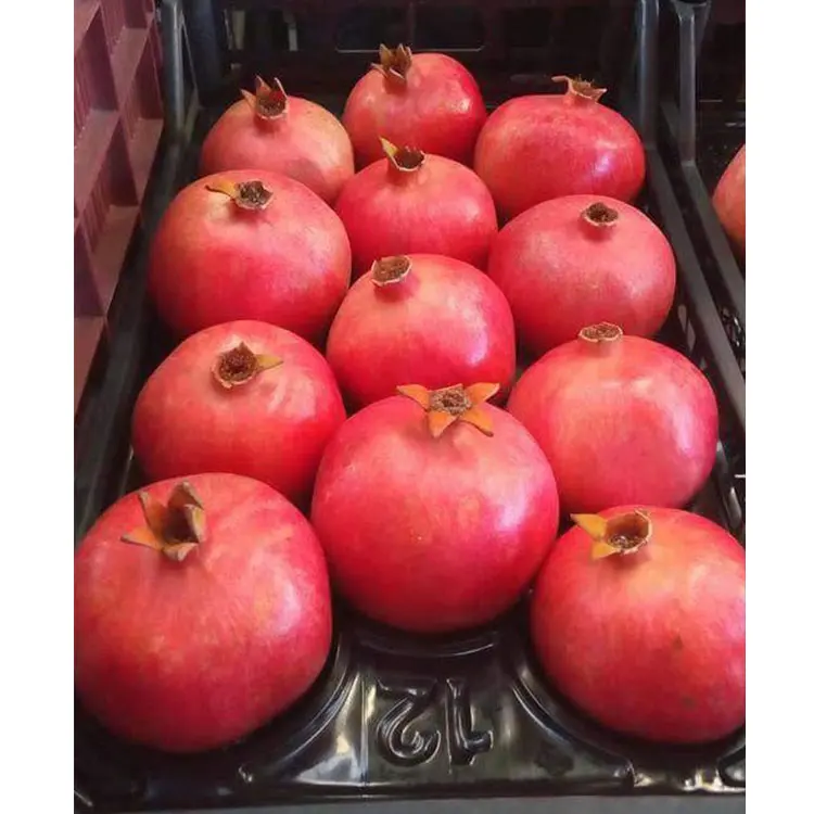 Гранат египет