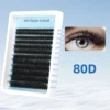 80 วัน
