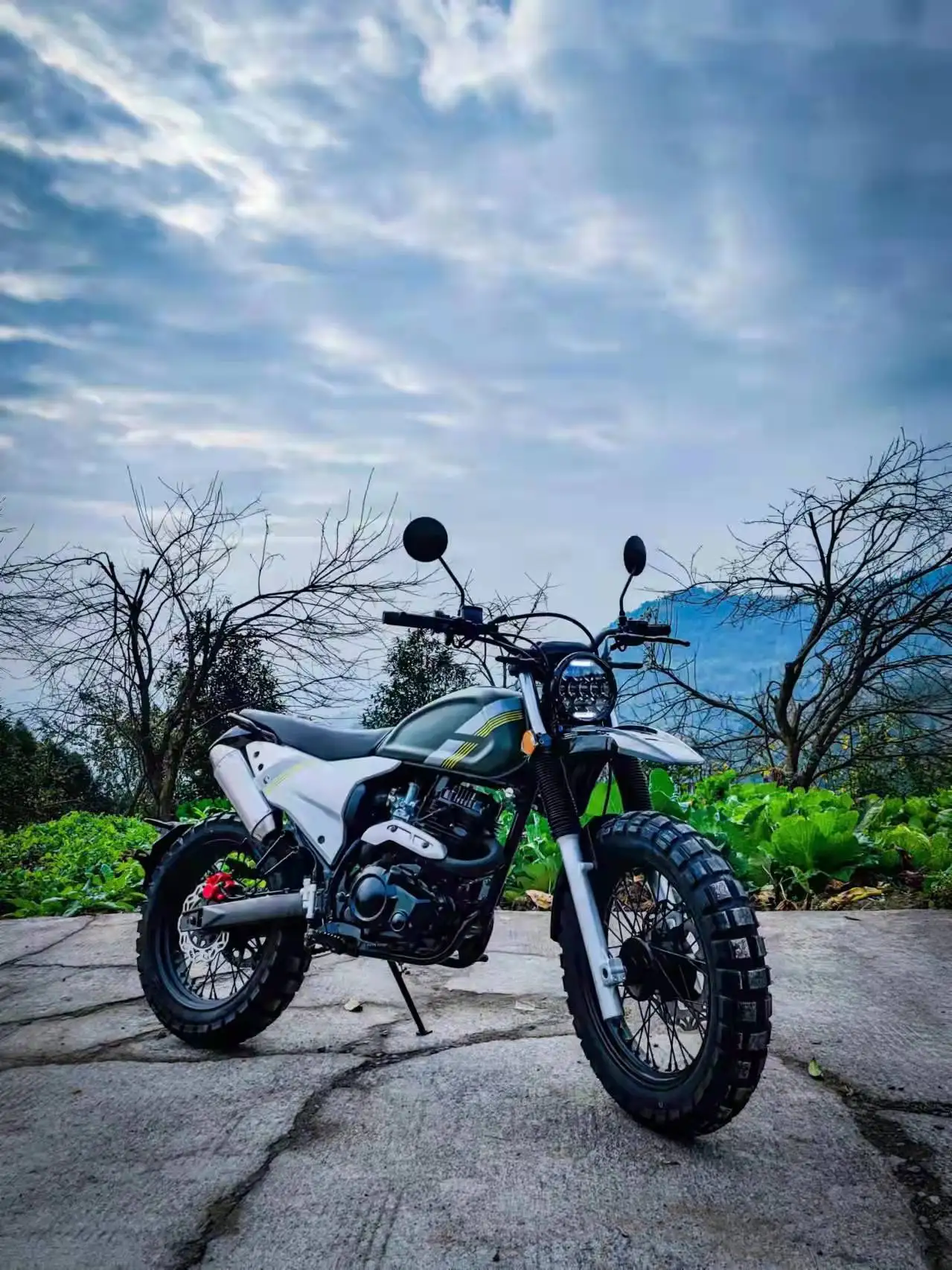 FUEGO Motorcycle Cafe Racer 250cc Retro Bike Style