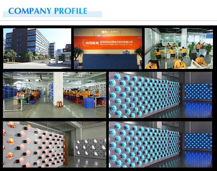3d led fan company profile.png