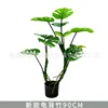 Monstera deliciosa de la selva tropical, 90 cm (incluye base negra).