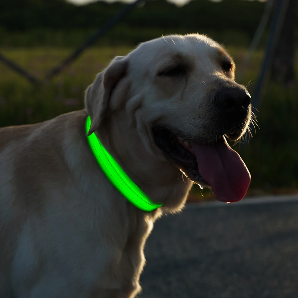 Best Selling Products Led Pet Dog Collar in Usa|