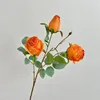 3 สีเหลือง