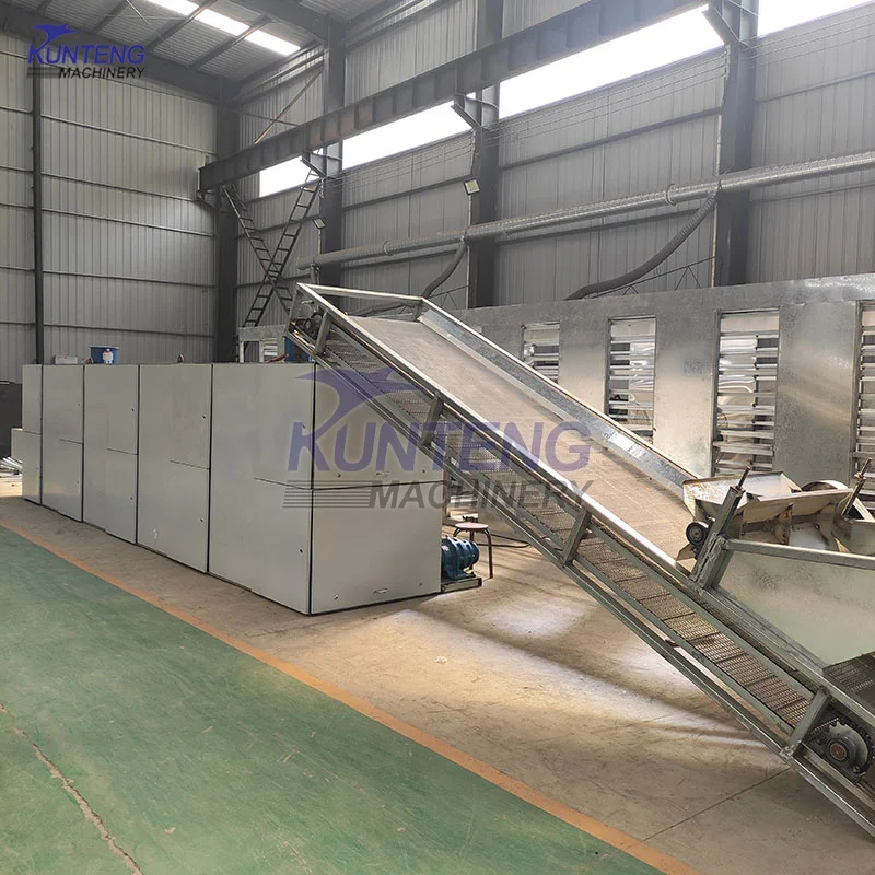 Continuous Mesh Belt Dehydrator Cassava Peanut Tomato Sweet Potato Ginger Slice Dryer Drying Machine