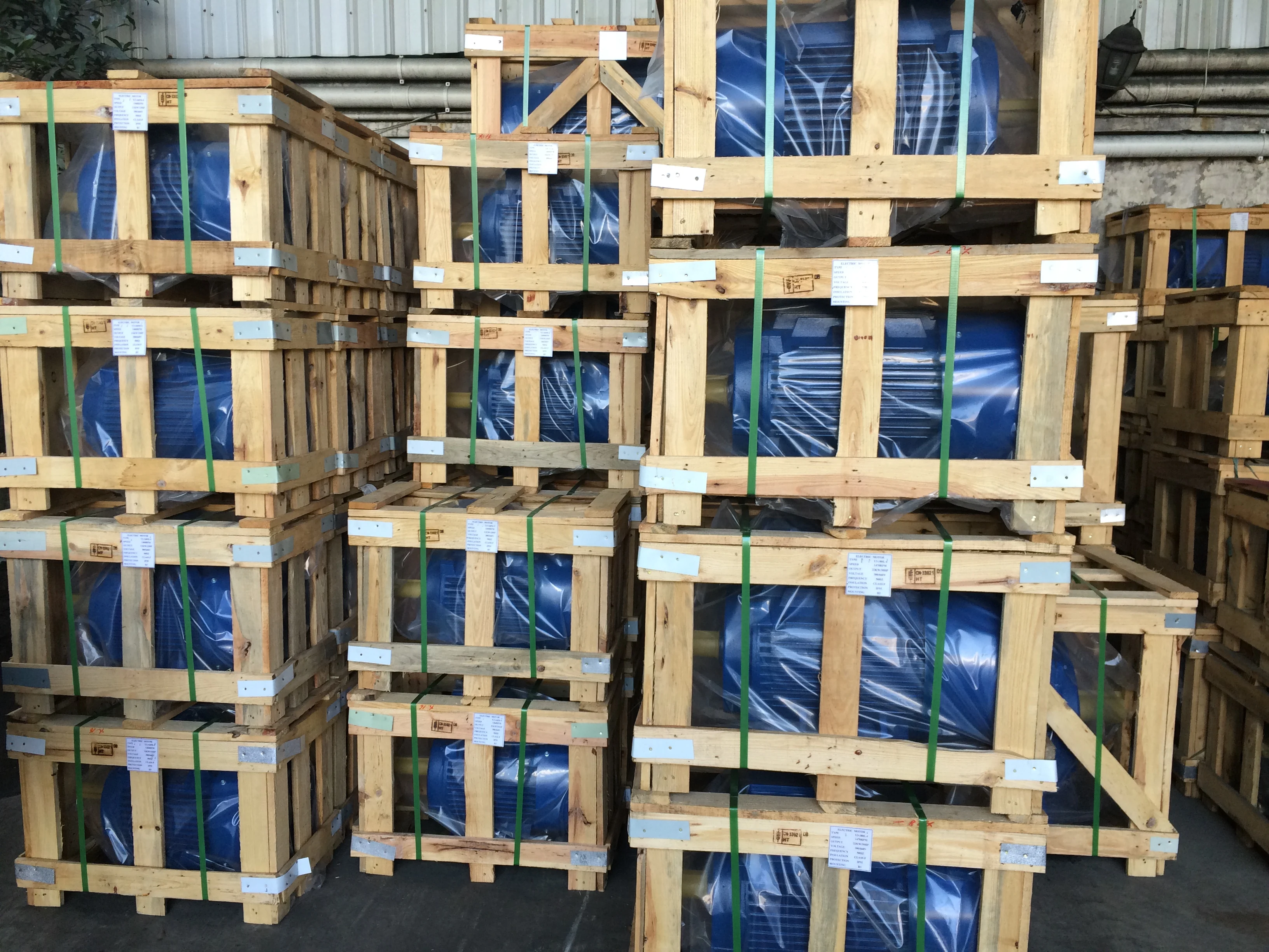 Phase Electric Vibration Motor, NO - detail 62