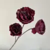 ดอกโบตั๋นแห้ง - สีแดงเข้ม