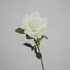 สีขาว
