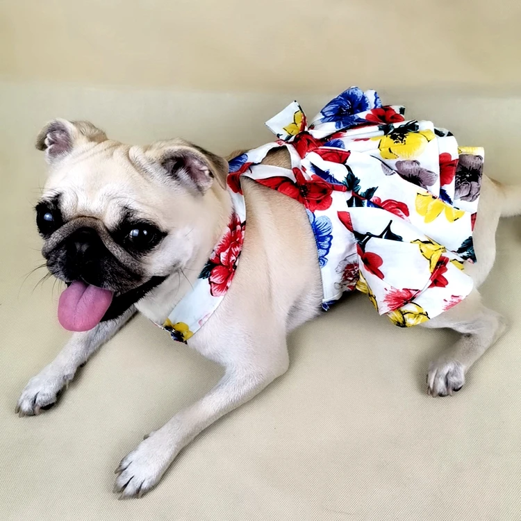 pet store distributors