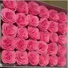 Pink2