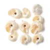 White SSHEL-C013-03