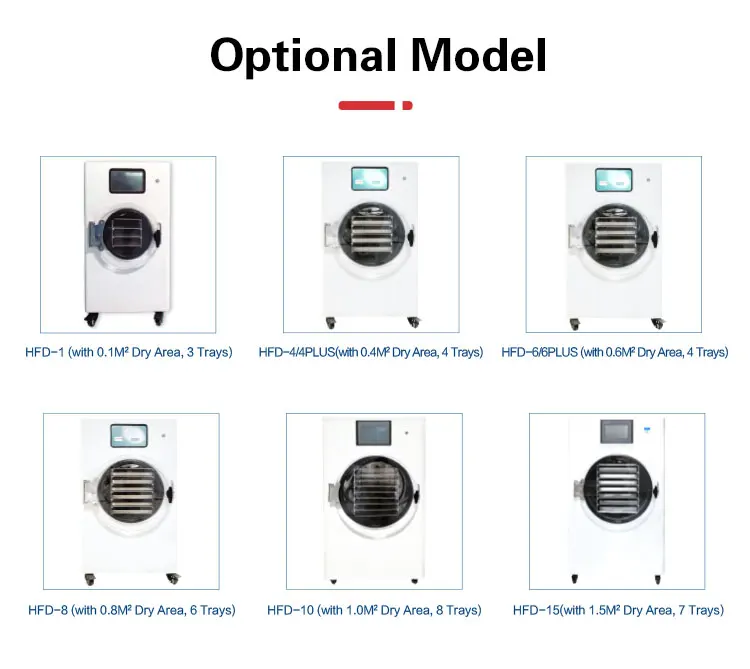 3kg 6kg 10kg Fruit Liofilizador Machine Price Small Mini Vacuum Freeze