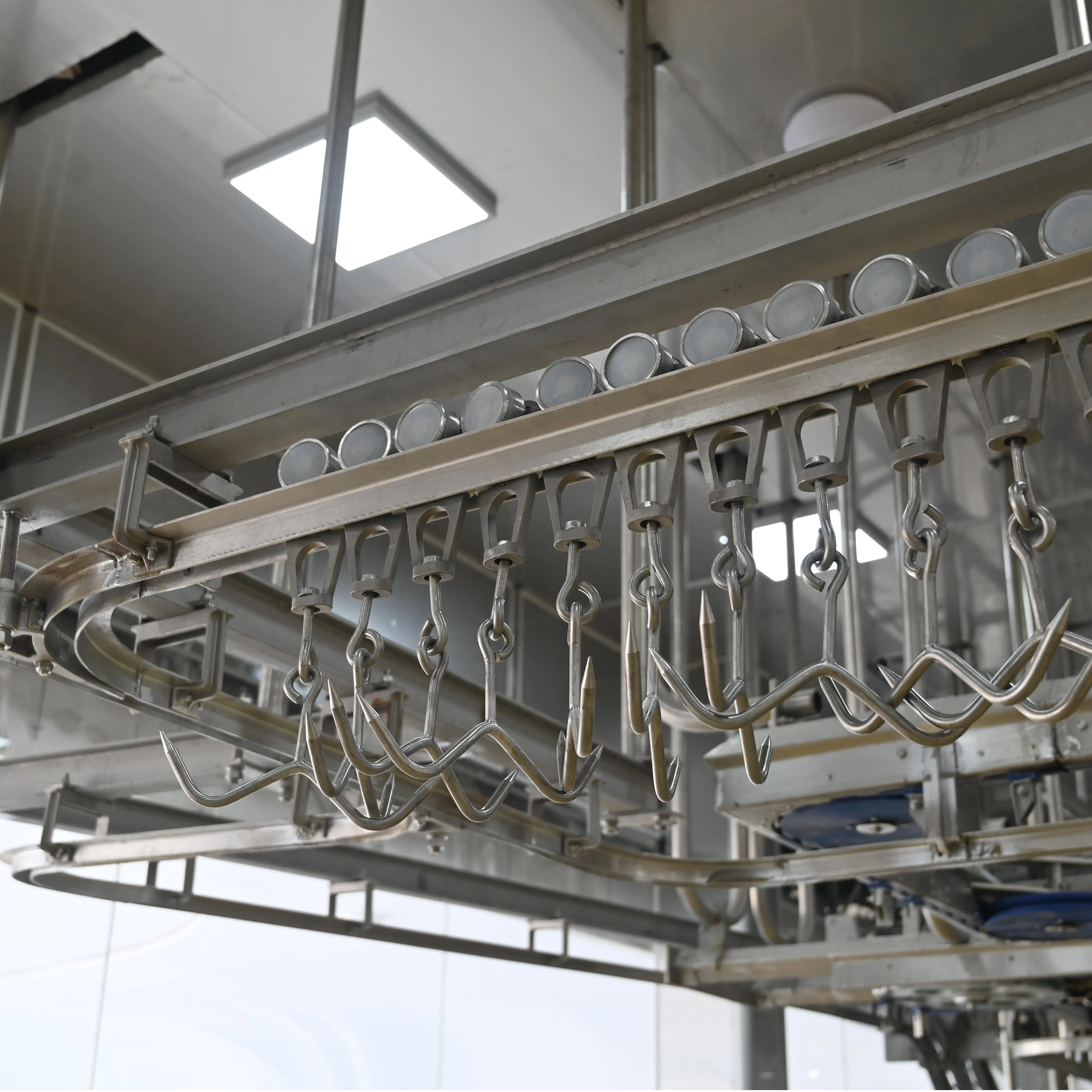 Automatic sheep and goat slaughtering line with carcass processing and track system