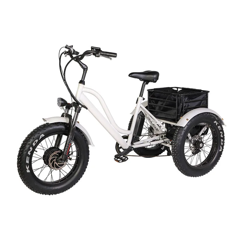 Free Shipping Electric Tricycles Bicycle 26 Inch Fat Tire Electric ...