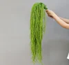 Fili di Seta Verde