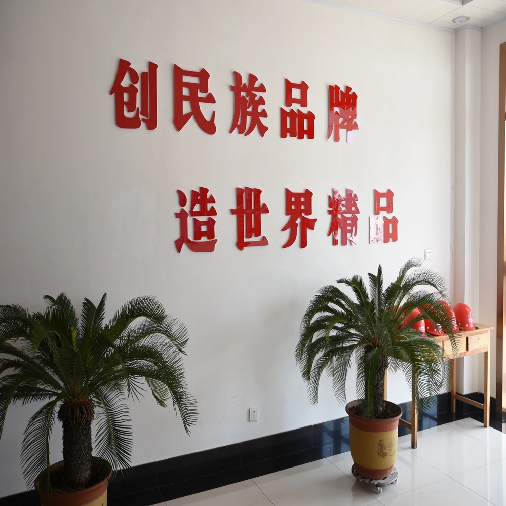 Company overview