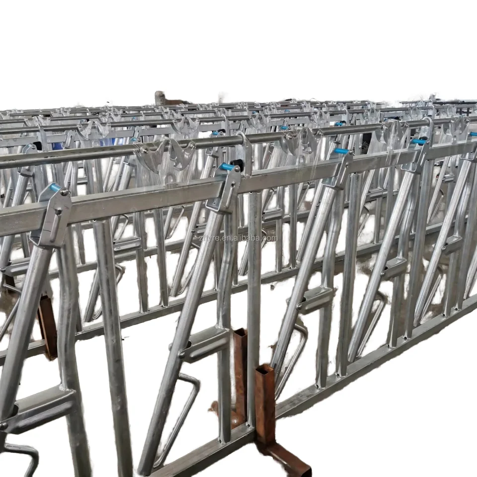 4 Positions 3 Meters Automatic Steel Cow Calf Headlock Dairy Cattle Breeding Equipment Ox Frame Accessories New Livestock Panel