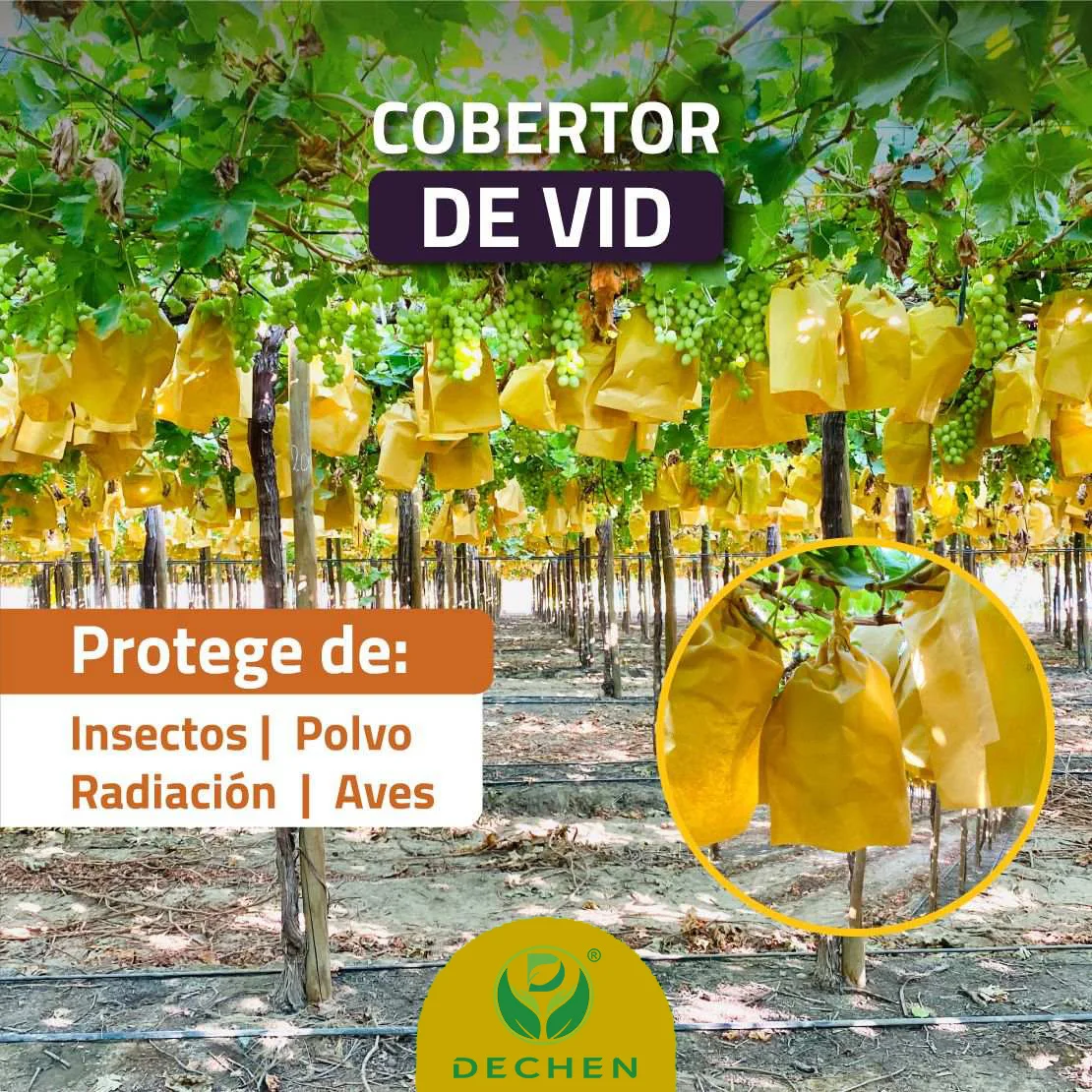  Bolsa de papel de protección de uvas Peru Callao Paita