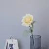 สี หมายเลข3