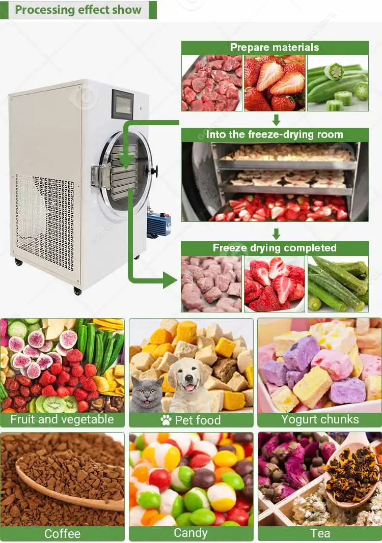 Delta Dry Dried Foods Machine Home Use Small Pump 10 Sqm Lyophilizer Vacuum Freeze Dryer for Food Herb Tea Fruit