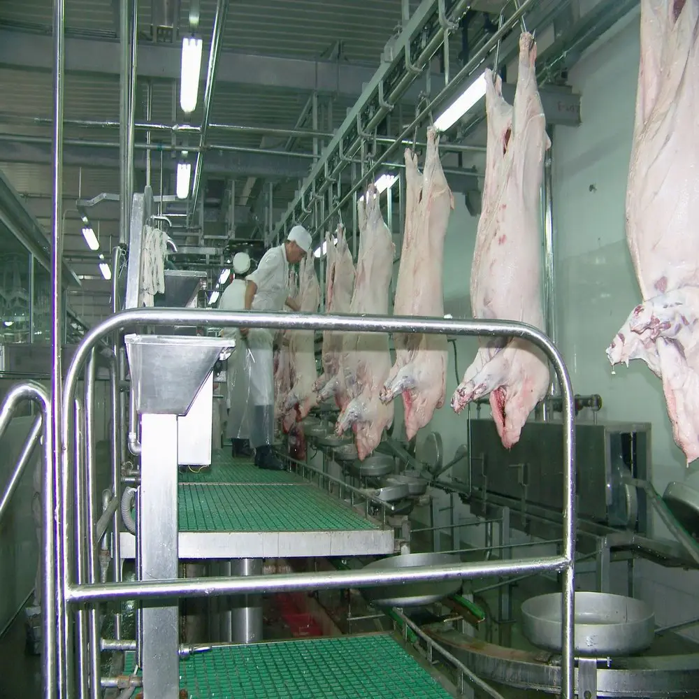 Complete pig slaughterhouse production line (including pig slaughterhouse)