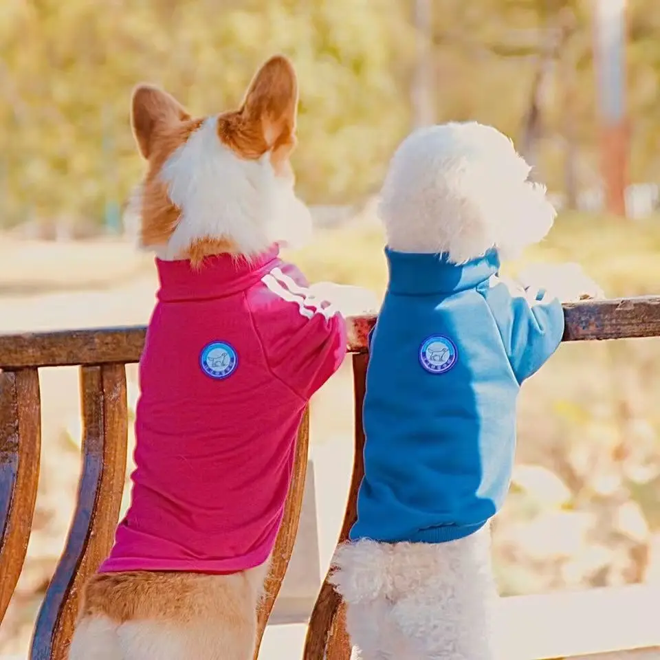 Pet Clothing Premium Supplies Dog Clothing Luxury Clothing Buy