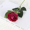 Rosa rossa