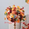Diamètre 50 cm