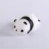 Giant panda