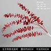 Red five-pronged eucalyptus branch