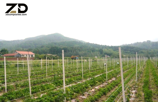 product high strength factory furnished fiberglass support rod premium quality fiberglass products-3