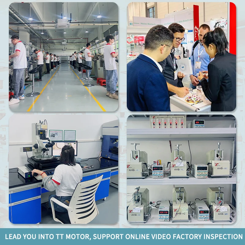 Shen Zhen TTMOTOR 24V 500ppr Encoder 5000rpm Electric Gear Motor Used in Medical Products 12V Brushless Geared Dc Motor