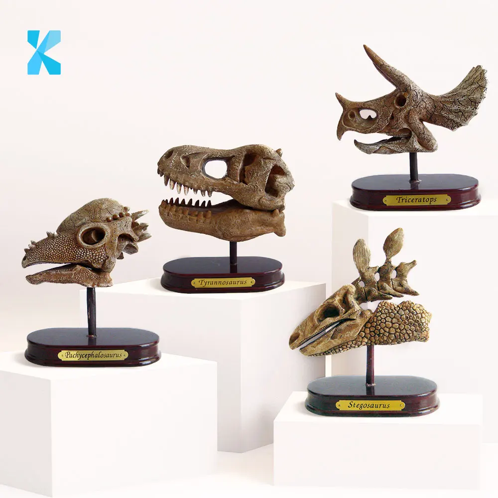 High Quality Dinosaur Skull Excavation Kit Dino Dig up Kit Head Skeleton Decor Archaeology Science Gift Educational Toy for Kids
