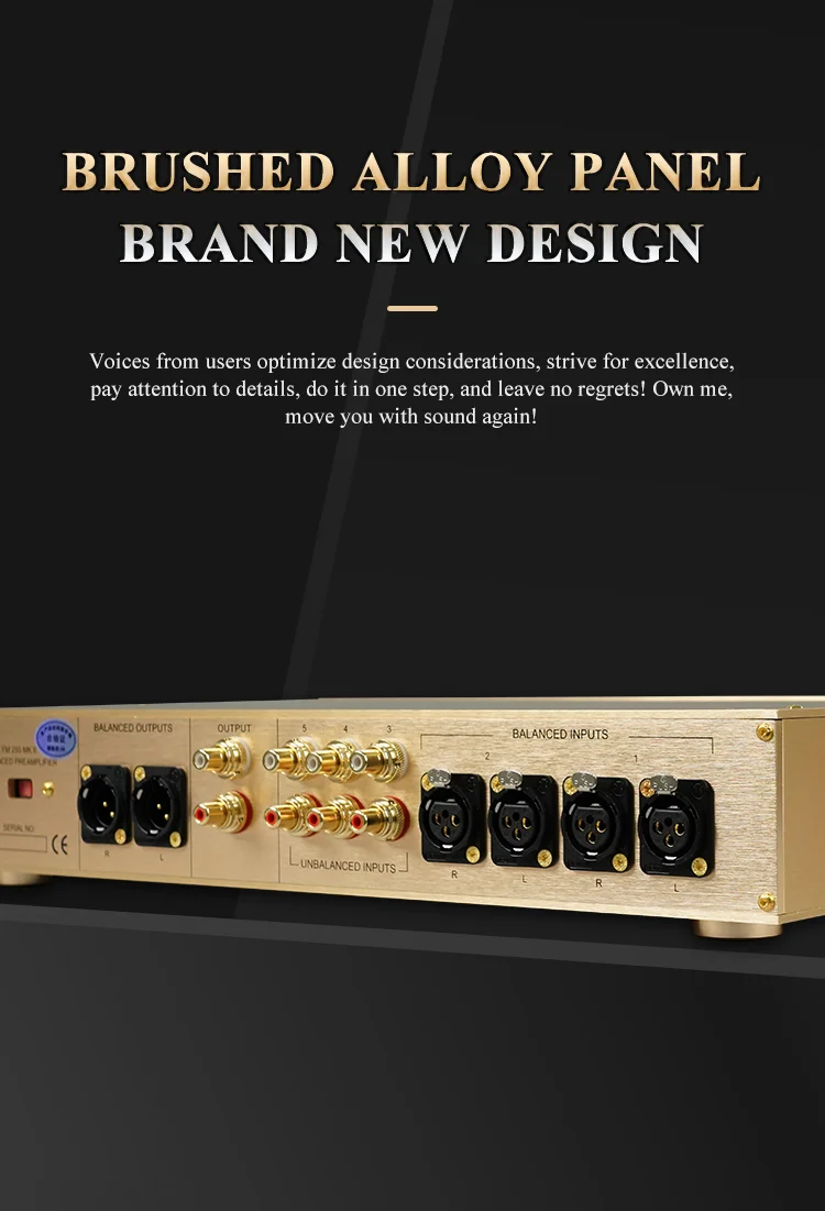 BRZHIFI FM255 Classic HI-END Audiophile Balanced Stereo Amplifier Preamplifier Switzerland Audio Clone Receiver HI-END Preamp details