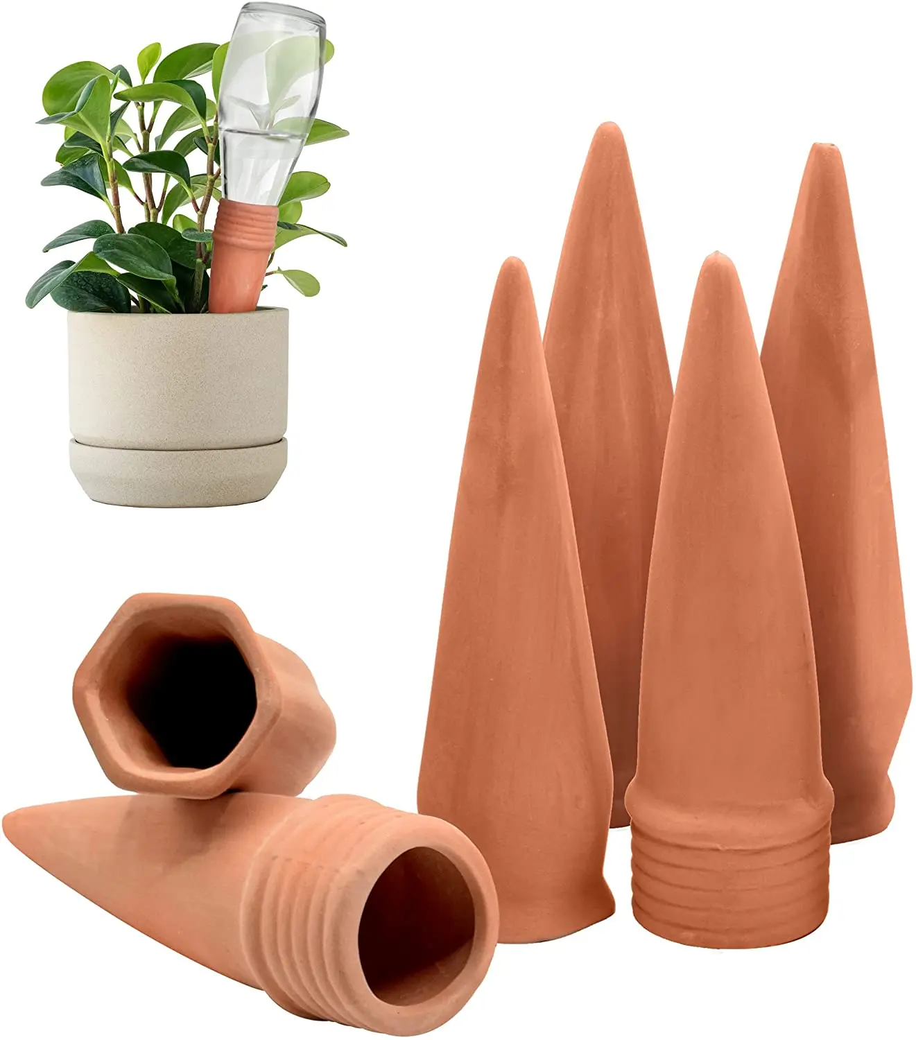 Terracotta Self-Watering Spikes 6-Pack Set for Indoor Plants - Efficient  Plant Watering Devices for Home Gardening