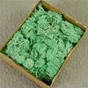 Grass Green
