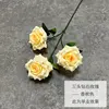 Tre teste di diamante rosa-champagne