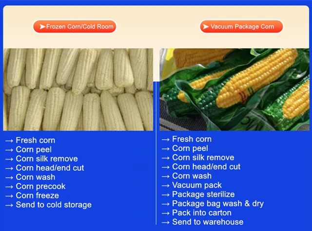 Industrial continuous fresh corn peeling, washing, blanching, air drying, packaging and freezing processing production line