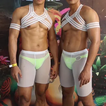 ALANZE Ice Silk Herren Briefs Transparent Low Waist - Gay Bikini Unterwäsche