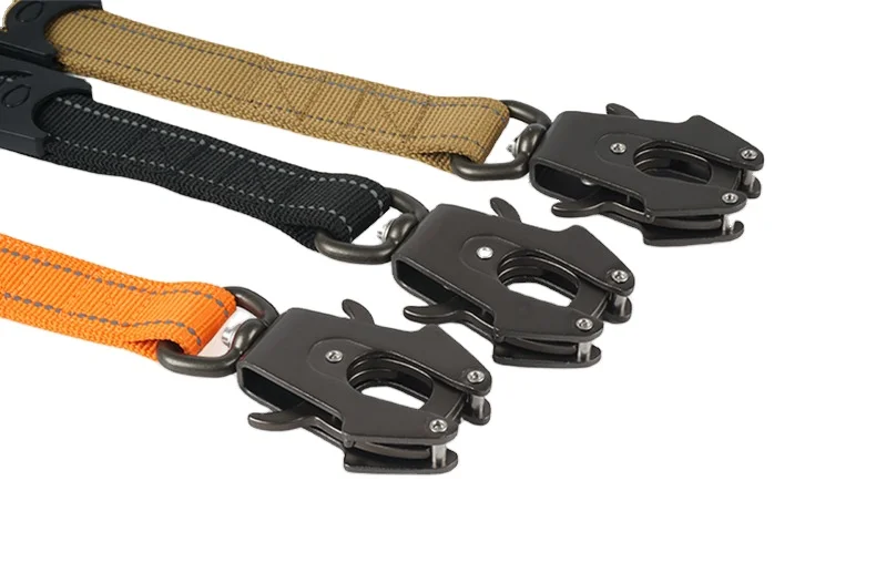 Highly Reflective Shock Absorbing Elastic Pet Leash Heavy Duty Frog