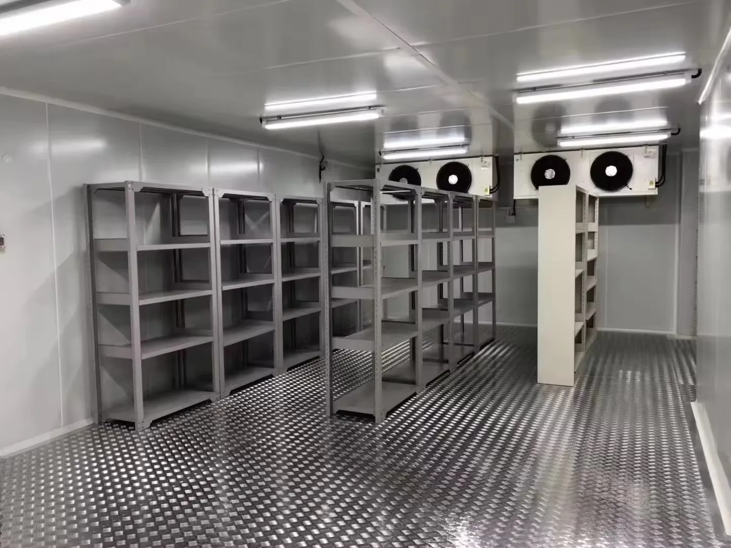 Industrial Walk in Freezer Mobile Container Cold Storage Blast Freezer Room Cooler Rooms for Meat